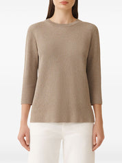 Fabiana Filippi Sweaters in Brown