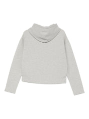 Ami Paris Sweaters Light Grey cotton hoodie