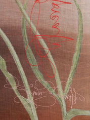 Écharpes Faliero Sarti Multicolore