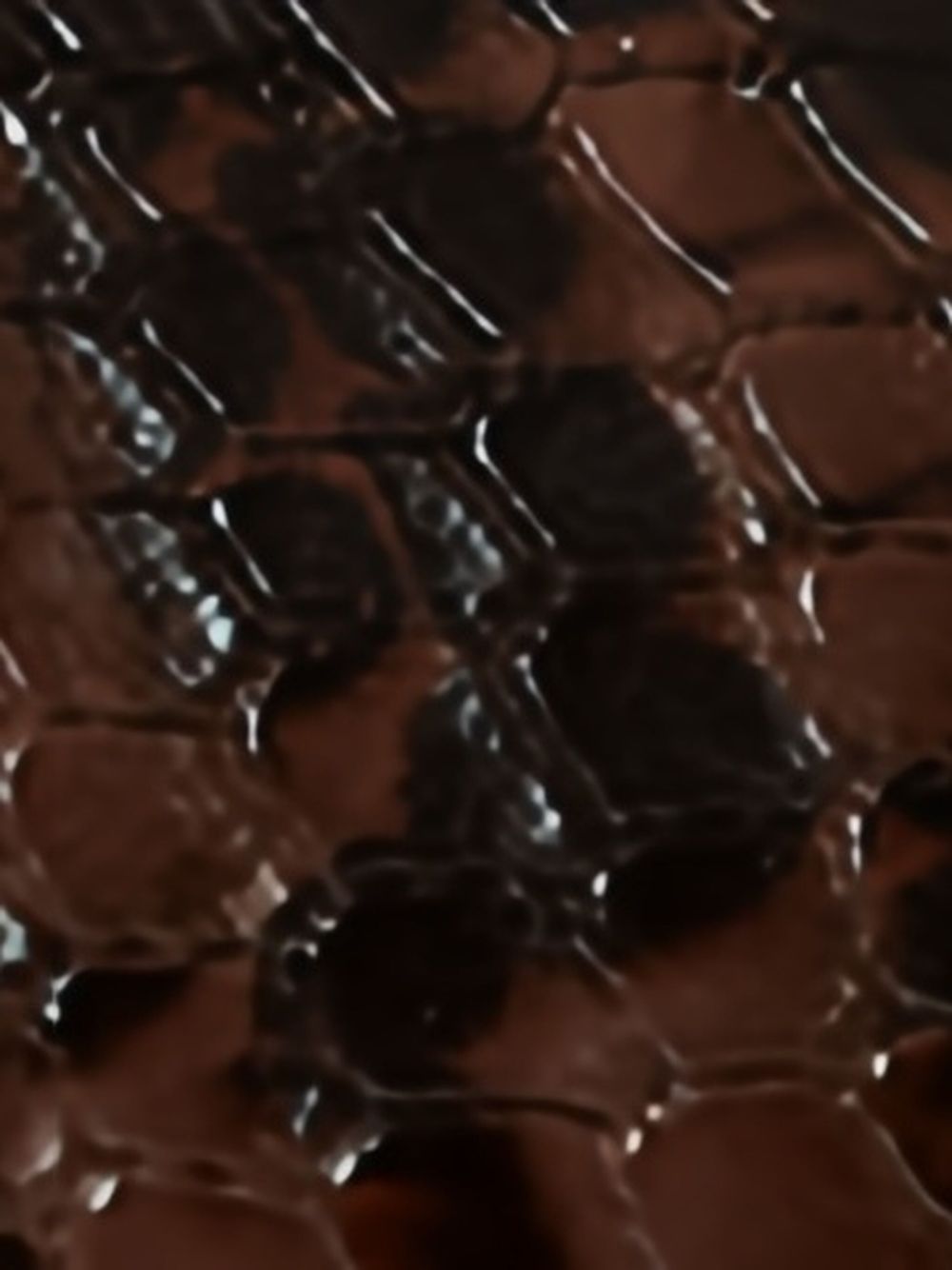 Stella McCartney Sneakers Brown