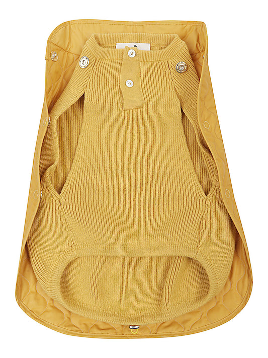 Sunny Summit Coat — POLDO DOG COUTURE Orange Dog Coat