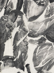 Alysi Black Scarf — Luxury Women’s Accessory