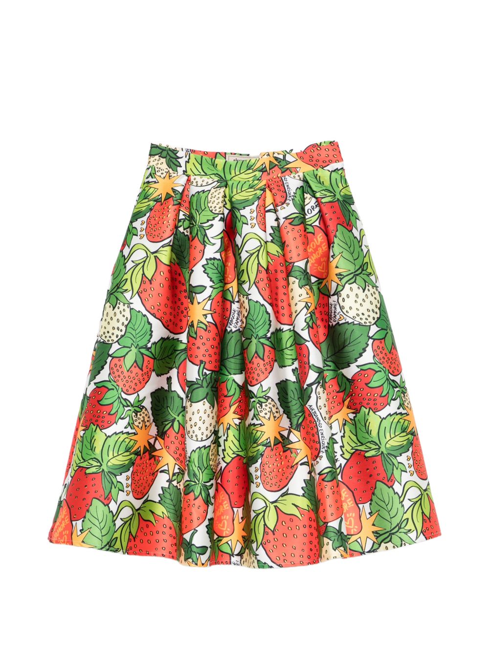 Alessandro Enriquez Skirts — Printed Midi A-Line