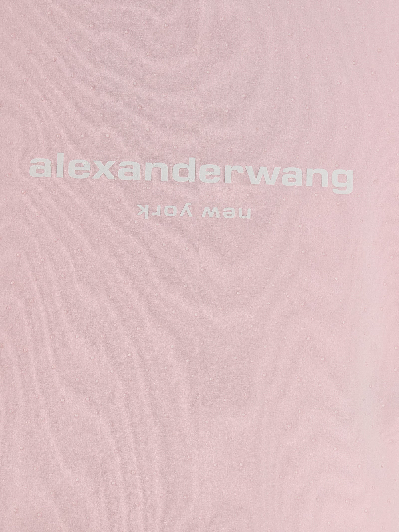 Alexander Wang Logo Baby Tee T-shirt