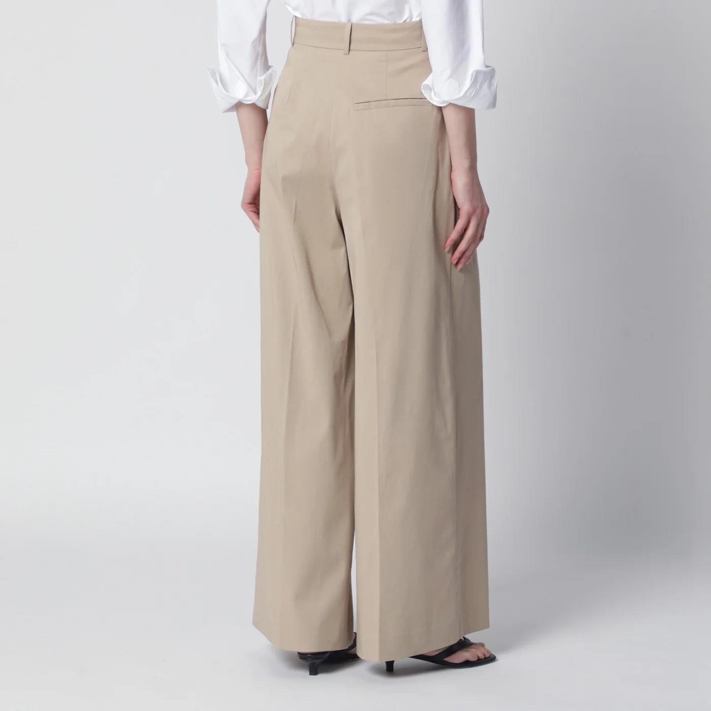 A-03-11798CO_S_ANINE-BGI1.d.webp