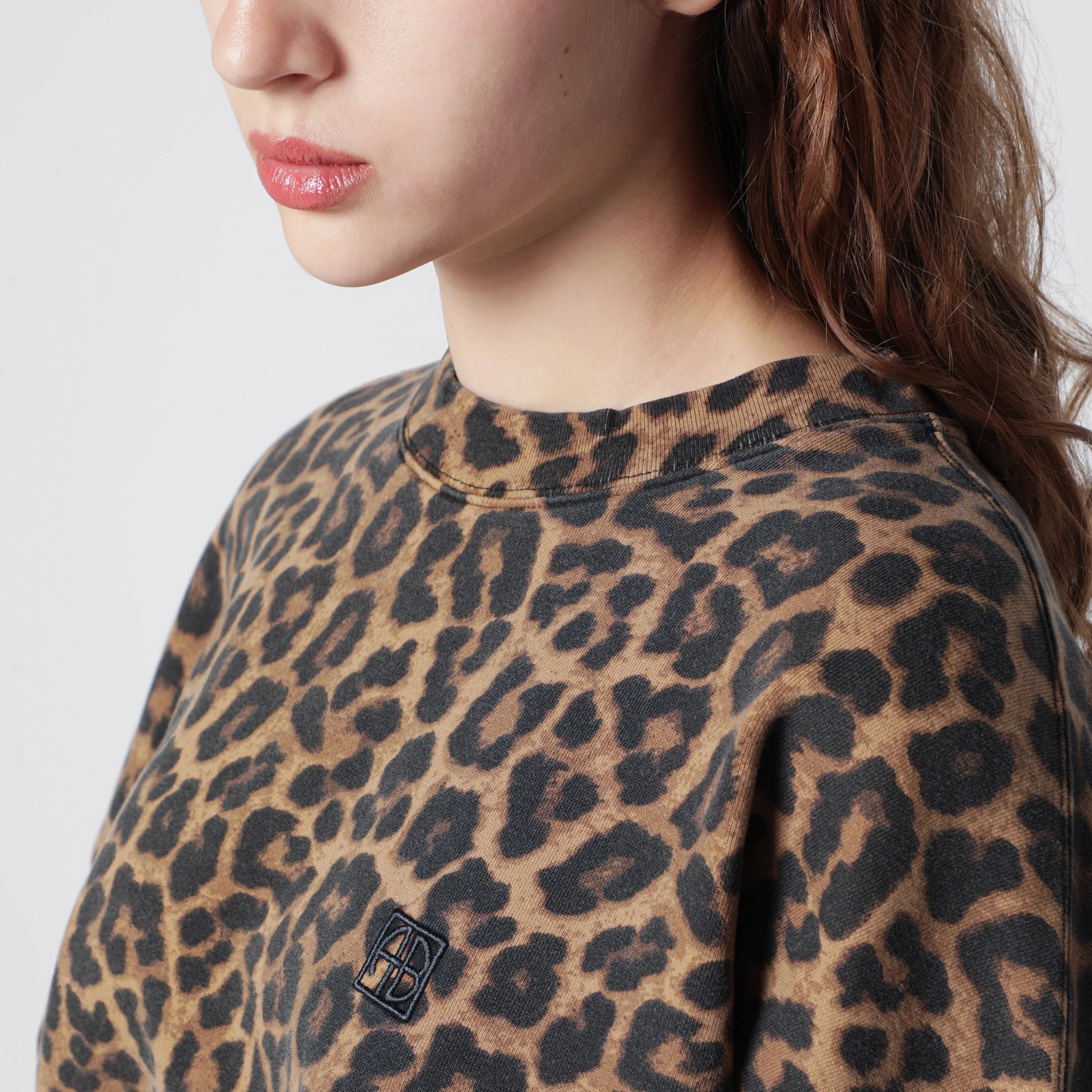 ANINE BING Miles Oversized Leopard Sweatshirt — Women