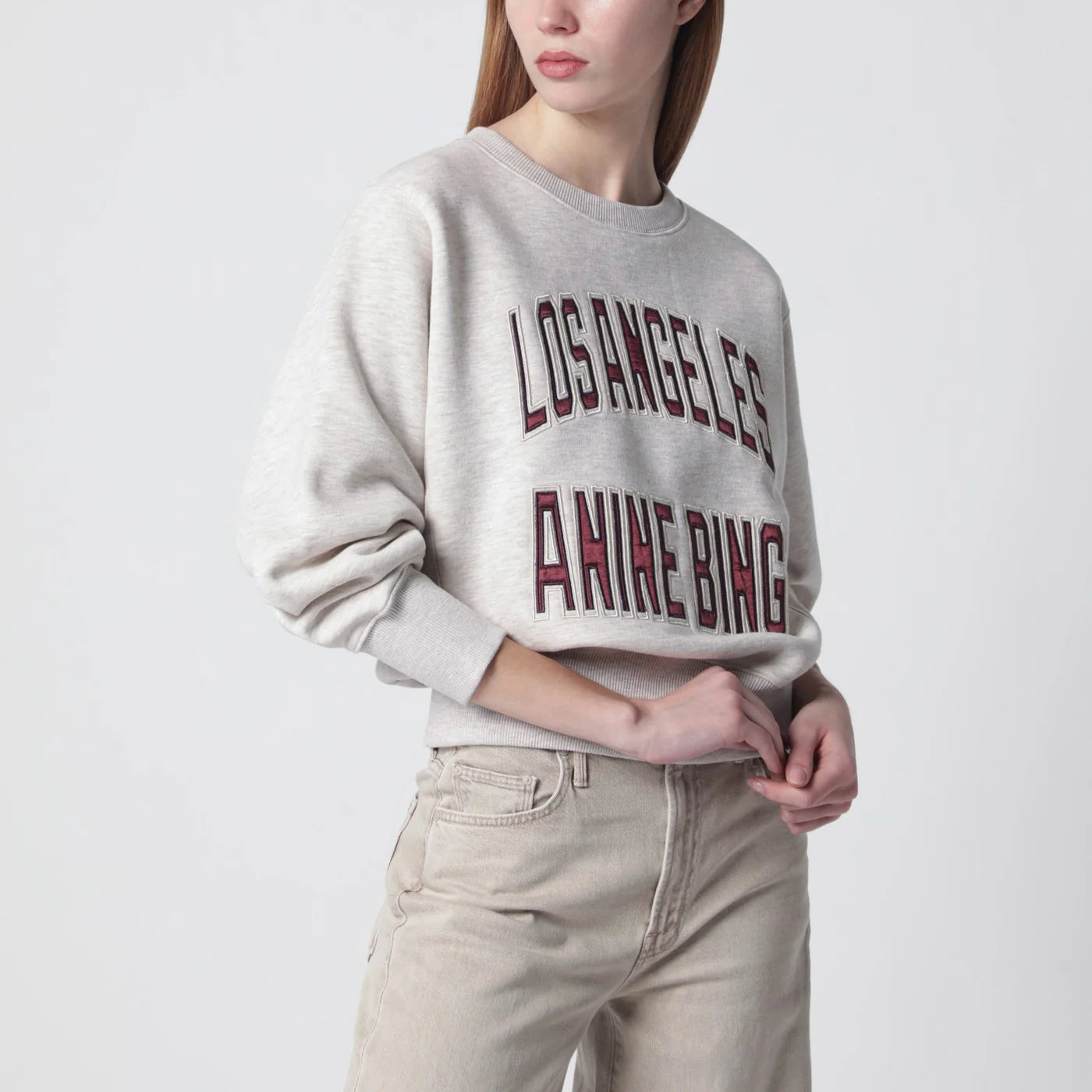 A-08-11677CO_S_ANINE-BGI15.a.webp