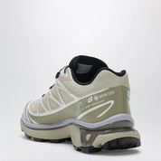 Salomon XT-6 GORE-TEX shoes Eucalyptus/Silver Sage